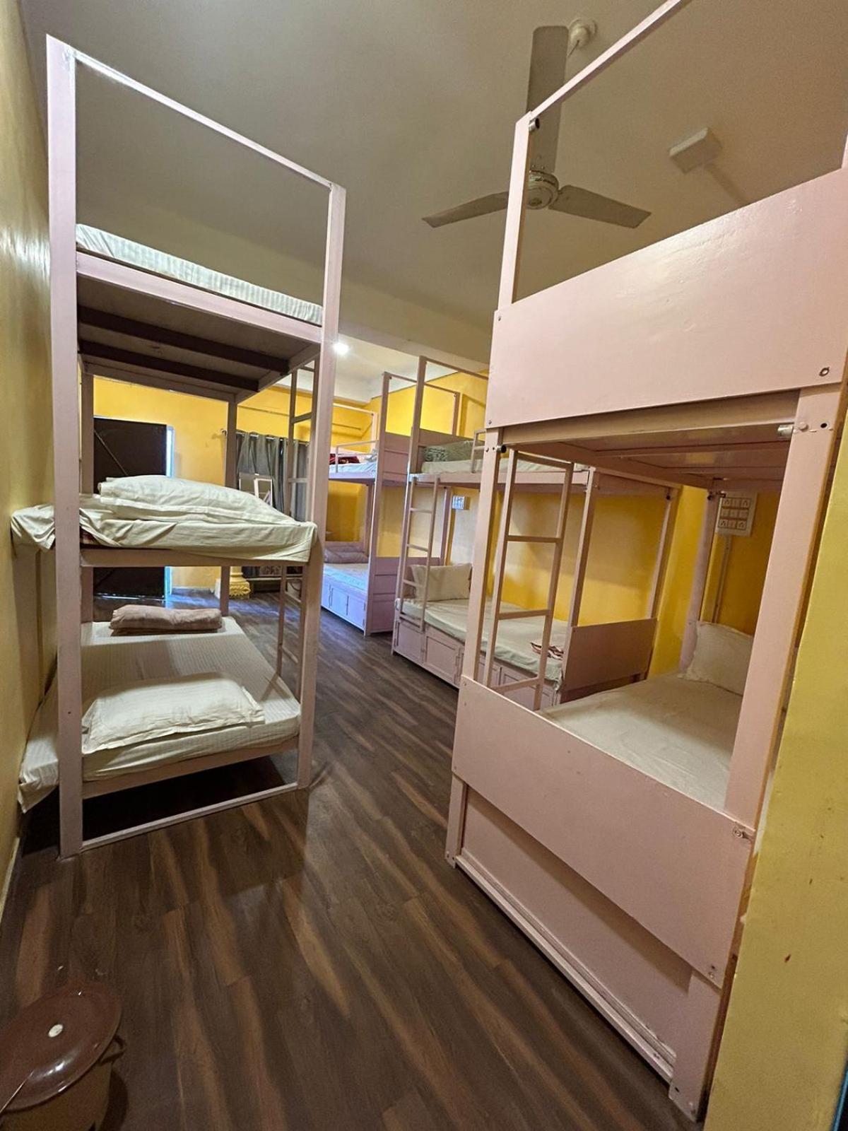 Unplanned Hostel אודייפור מראה חיצוני תמונה