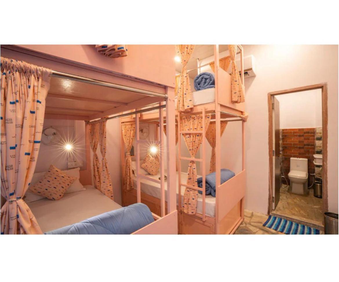 Unplanned Hostel אודייפור מראה חיצוני תמונה